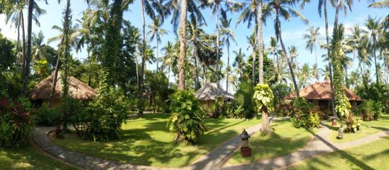 Bali Reise mit Diana König - Eine Auszeit zu dir