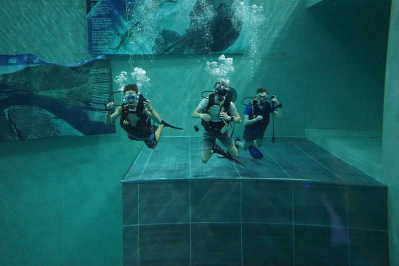 funny diving kurse und events - münchenstein schweiz
