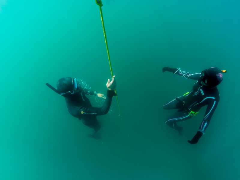 Freediving Woche am Genfer See mit Nik Linder und Phil Scuba - Apnoetauchen und vieles mehr - Yoga und Relaqua